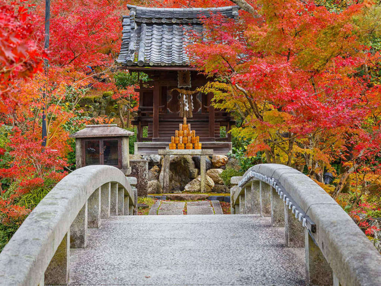 Things to see and do in Kyoto Context Travel